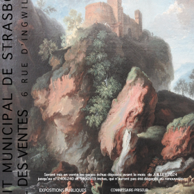 afficheMARS afficheMARS
